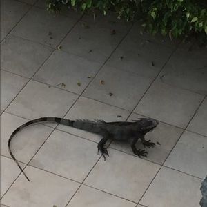 Meet your Posher, Sandi